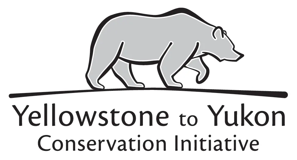 Yellostone to Yukon Conservation Initative