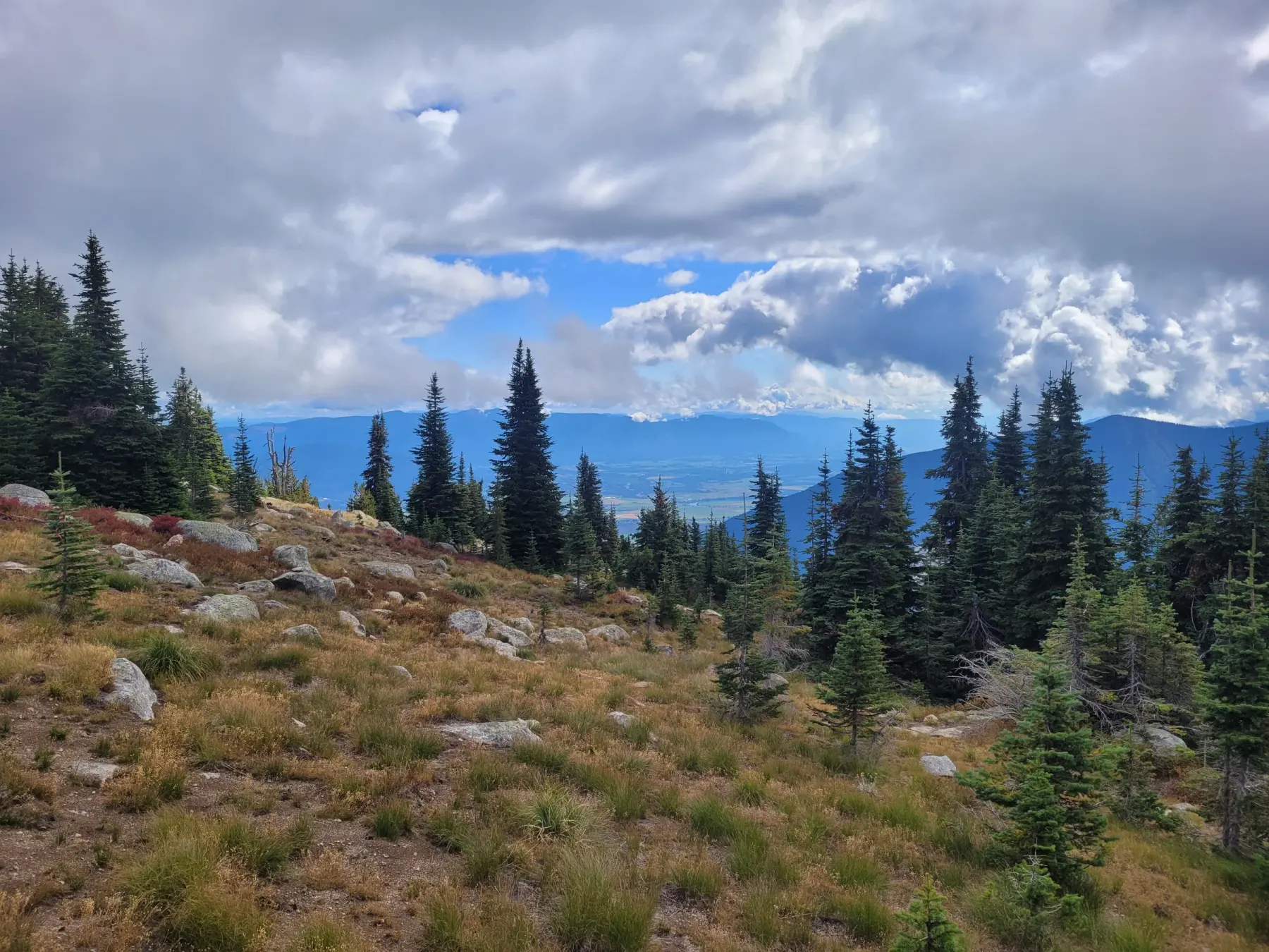 Mt. Midgeley photo 1