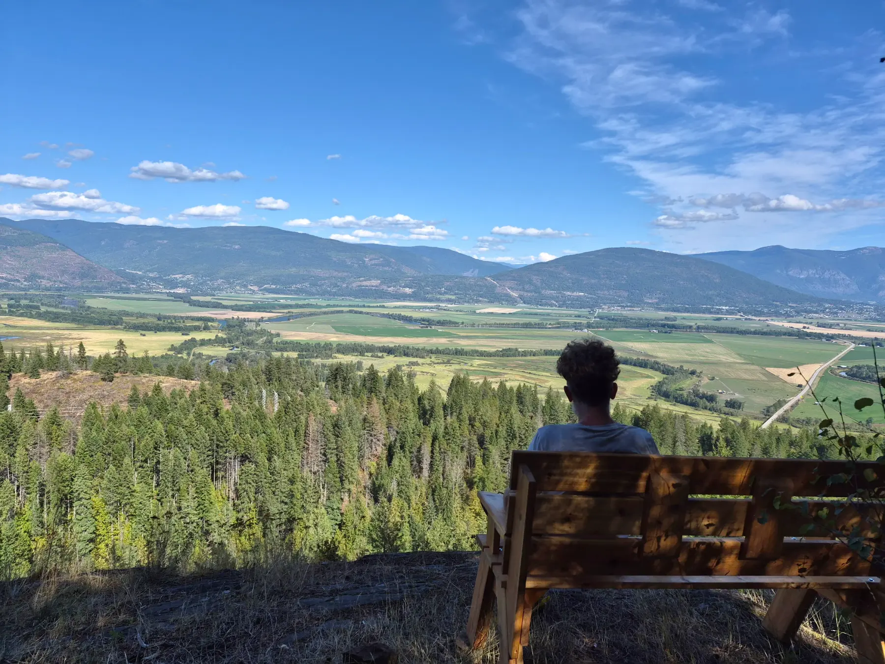 The Bench That Earned Its View