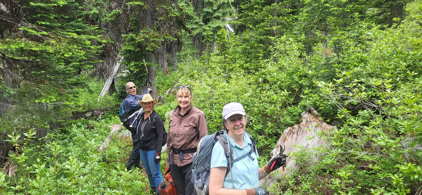 Mt. Midgeley Work Bee: Blowdown, a Dyson, and a Hermit Thrush