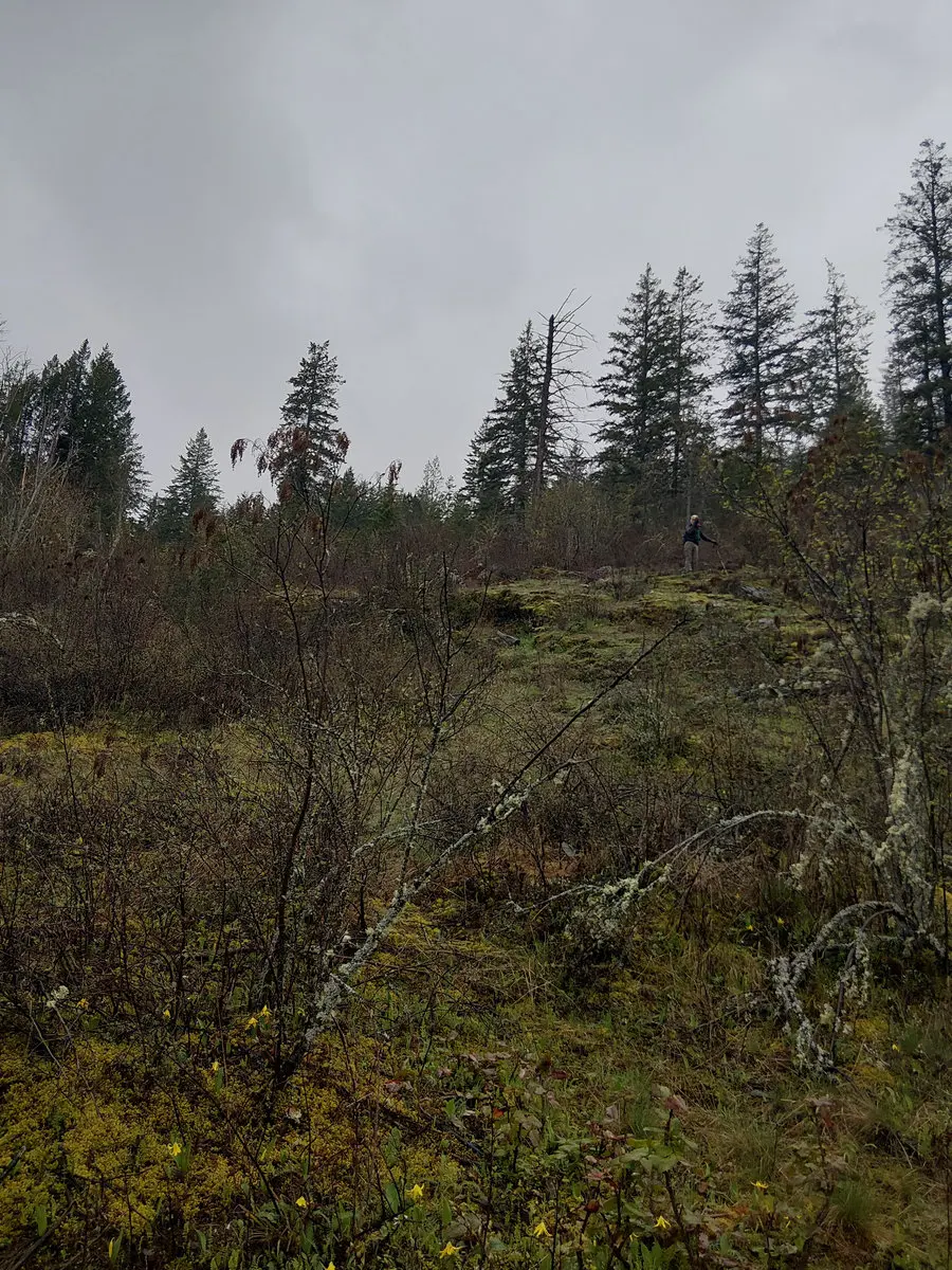 Wet Boots, Good Roots: Upper Balancing Rock Trail Work Bee Re-cap.