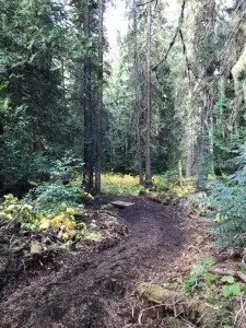 Summit Cedars Trail/Ralph's Grove Nov. 2017 Update
